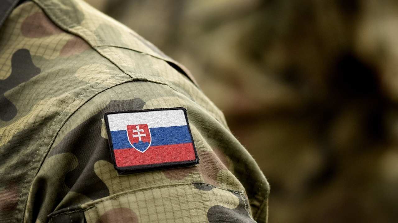 Príslušníci Ozbrojených síl Slovenskej republiky počas vojenského cvičenia