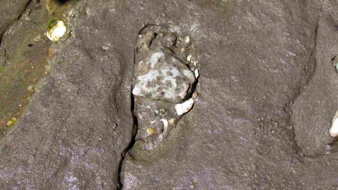 fosilizovana stopa ludskej nohy