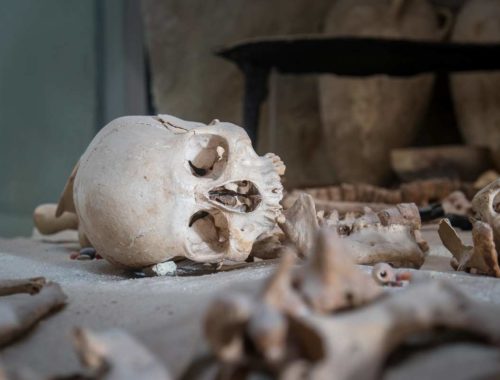 ludske kosti archeologia vykopavky
