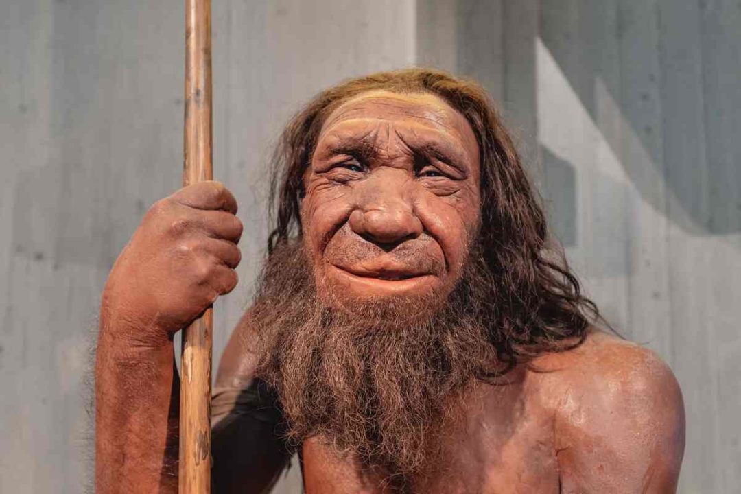 neandertalec