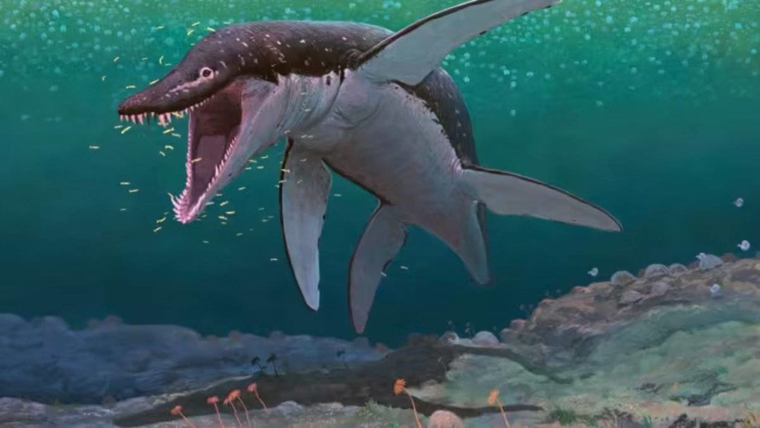megapredatory pliosaur Lorrainosaurus