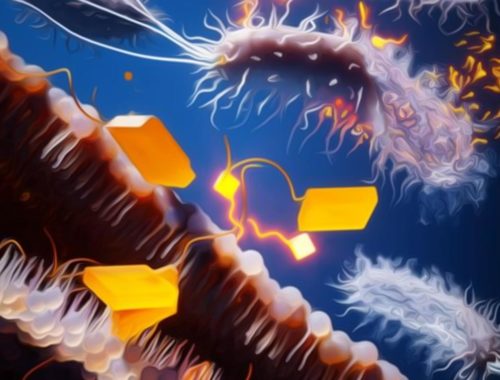 Výskumníci vytvorili molekulu, ktorá nám môže pomôcť s odolnými baktériami