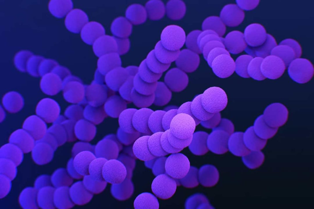 Čo robí baktérie odolnými voči antibiotickej liečbe?