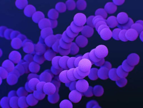 Čo robí baktérie odolnými voči antibiotickej liečbe?