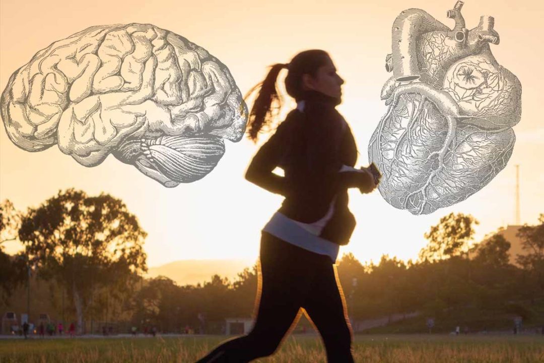 Fyzická aktivita lieči náš mozog a telo