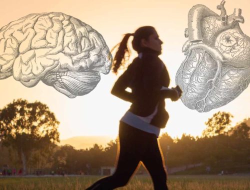 Fyzická aktivita lieči náš mozog a telo