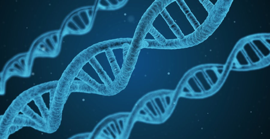 DNA pexels