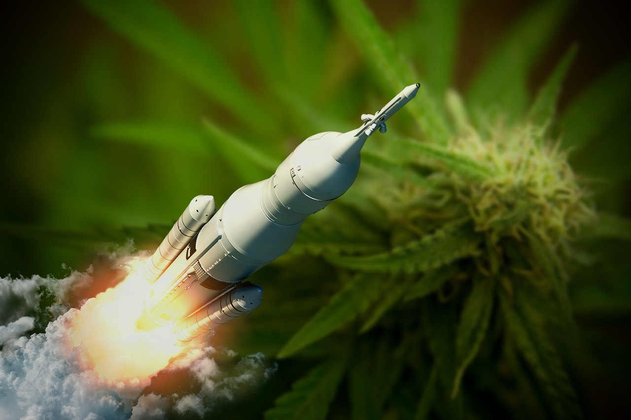 marihuana vo vesmire spaceX