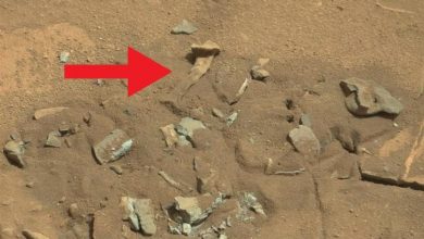 ľudská kosť Mars