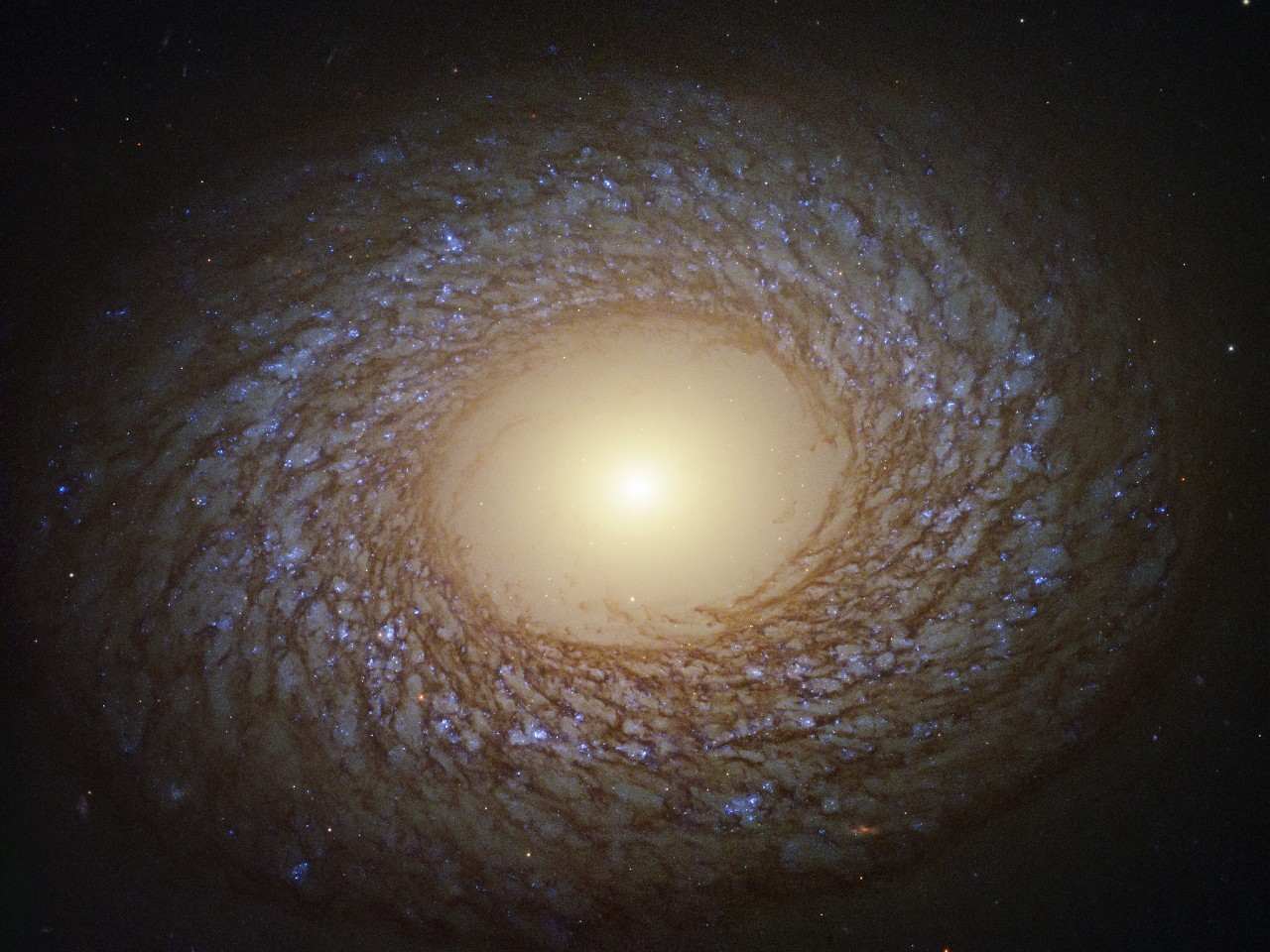 galaxia NGC 2275