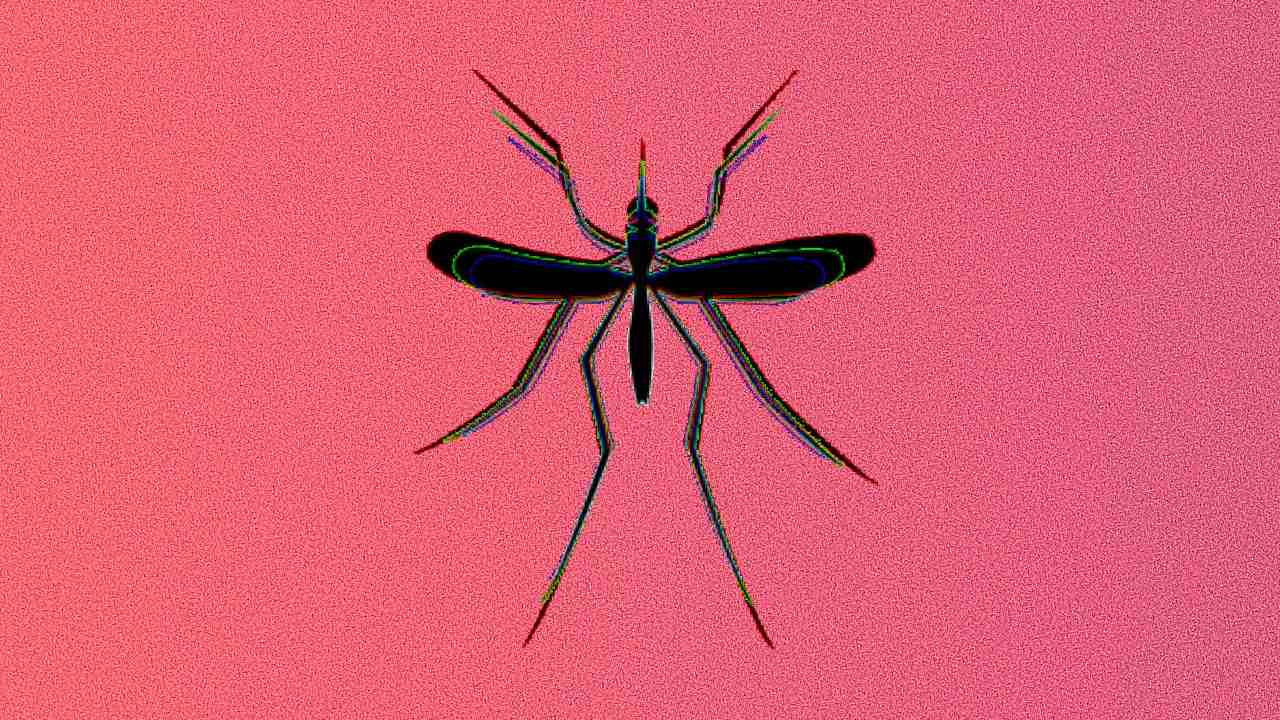 Oxitec_kontroverzny projekt komare