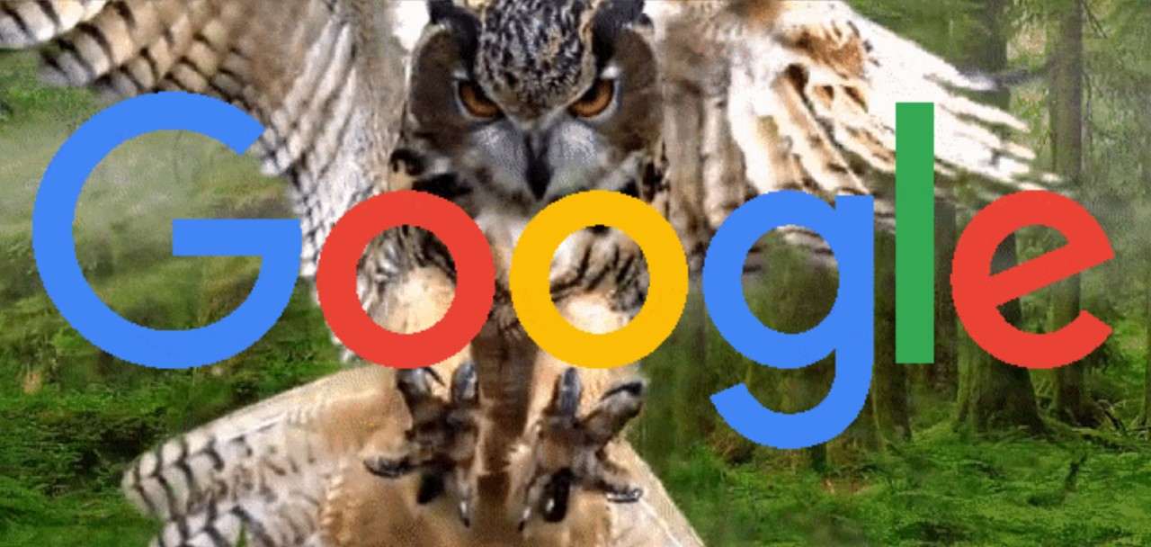 Google ohovaracske stranky