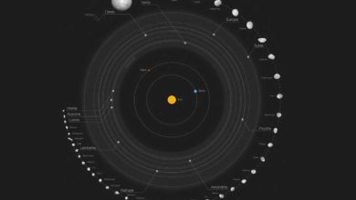 42 najväčších asteroidov v sústave