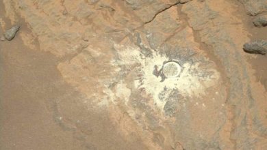 Rover Perseverance našiel na Marse nezvyčajnú vzorku_vrt