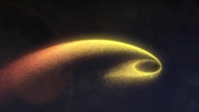 Čo sa stane s hviezdou v blízkosti čiernej diery?