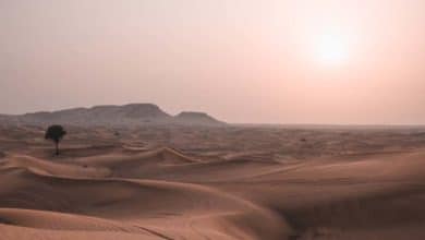 Dokáže ľudstvo zastaviť rozširujúce sa púšte?