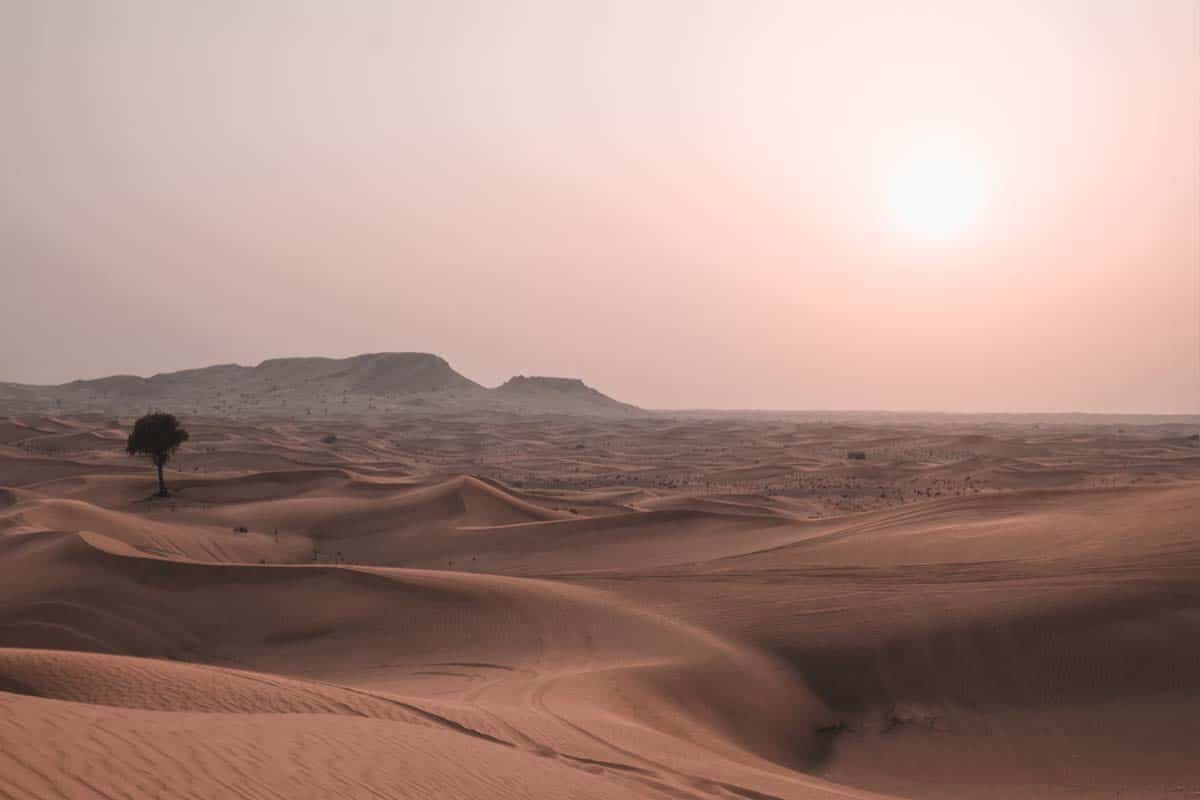 Dokáže ľudstvo zastaviť rozširujúce sa púšte?