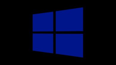 Windows 10_logo