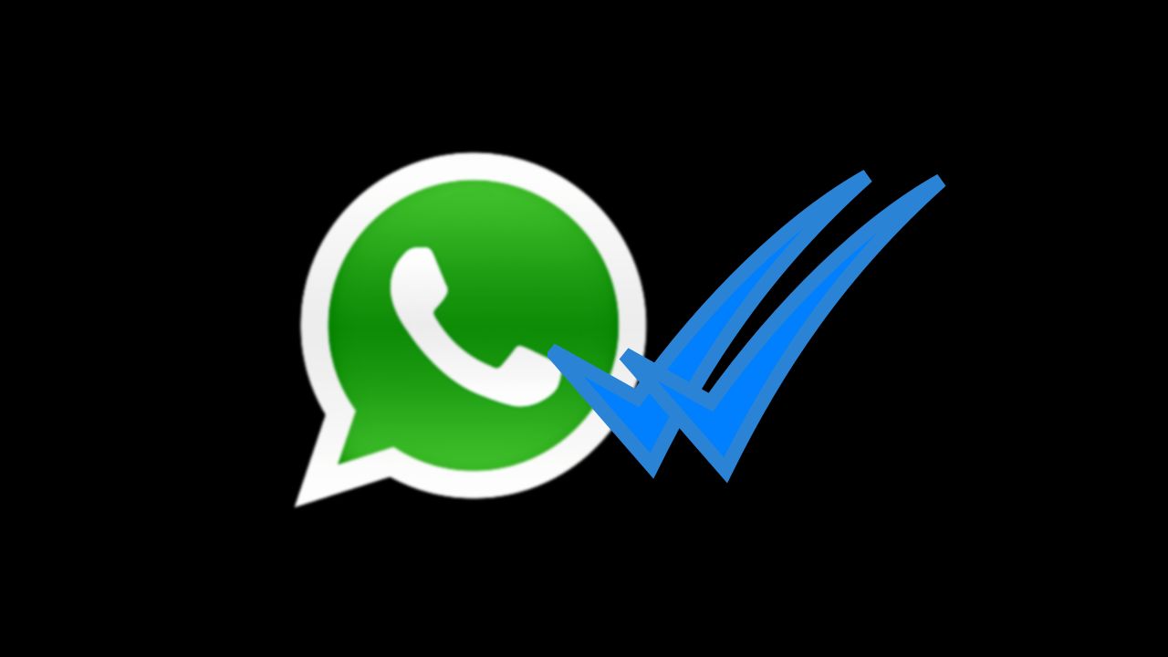 WhatsApp_informacia o precitani