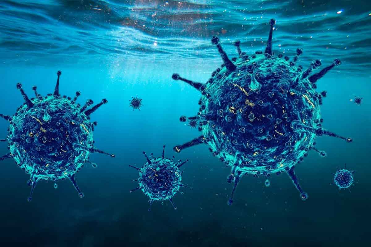 Vedci zaznamenali rekordné množstvo nových vírusov