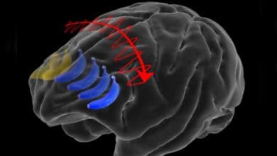 Vizuálna pamäť je prirodzená, no mozgu dáva zabrať, tvrdí výskum MIT
