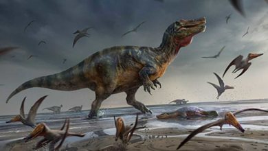 dinosaurus spinosaurus