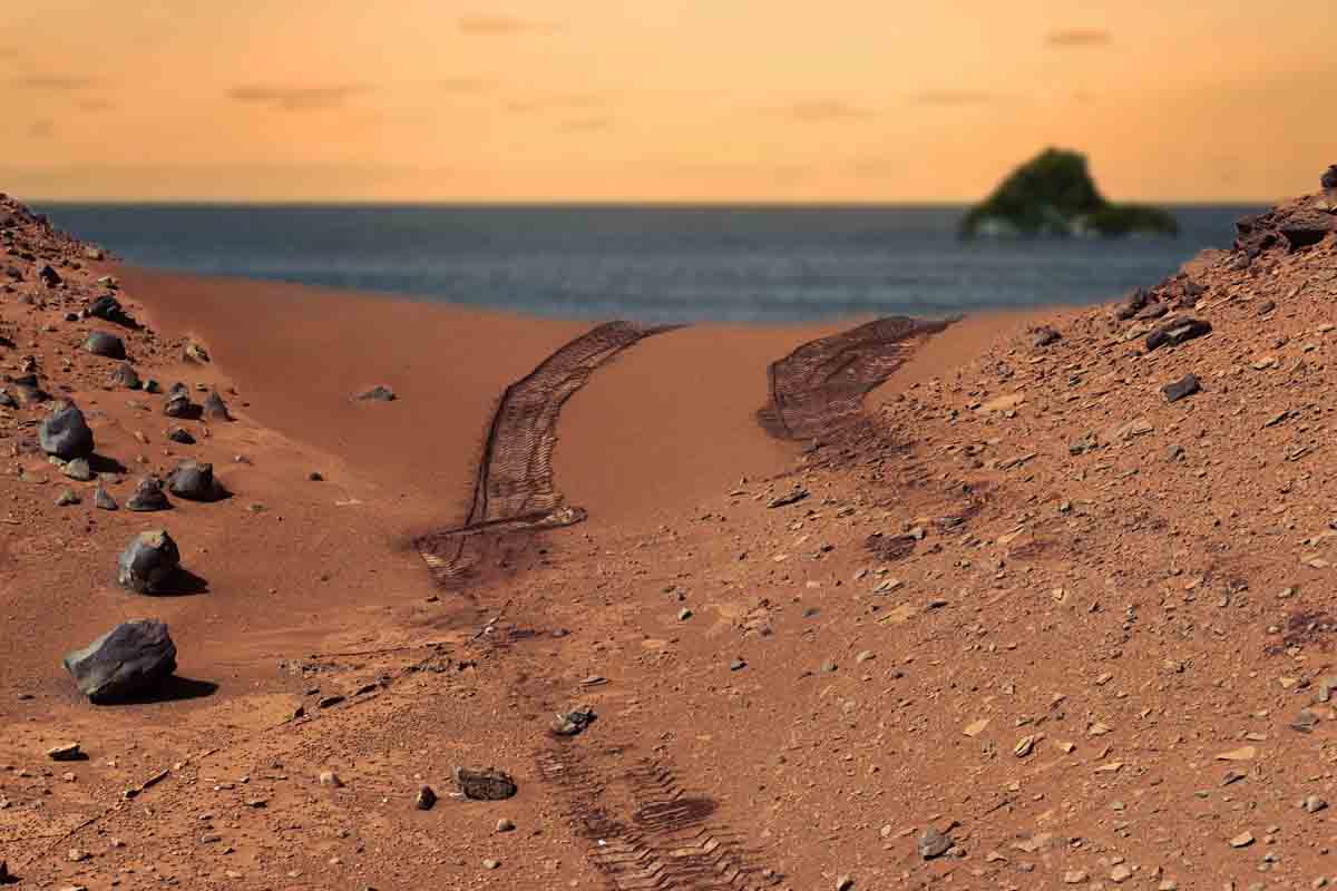 Mohol na Marse niekedy vzniknúť život?