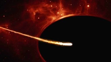 Čierna diera roztrhla hviezdu na kusy, no neostala pre ňu tamker žiadna hmota