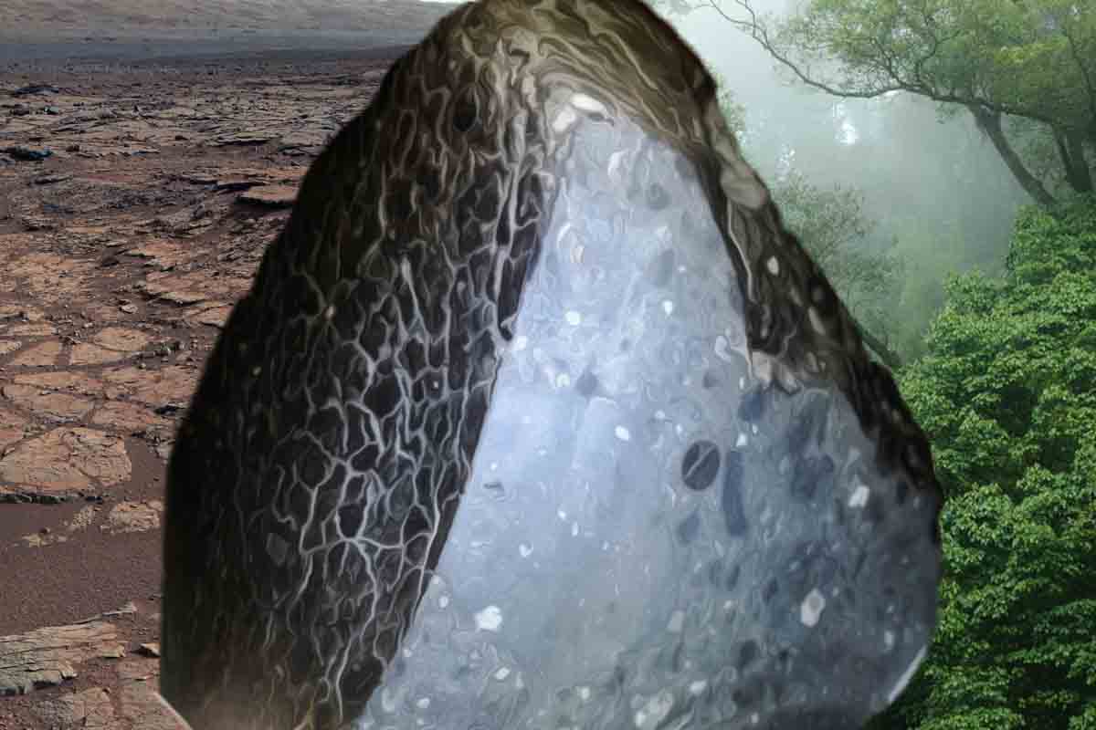 Čierna kráska, jeden z najstarších úlomkov Marsu môže veľa prezradiť aj o evolúcii Zeme