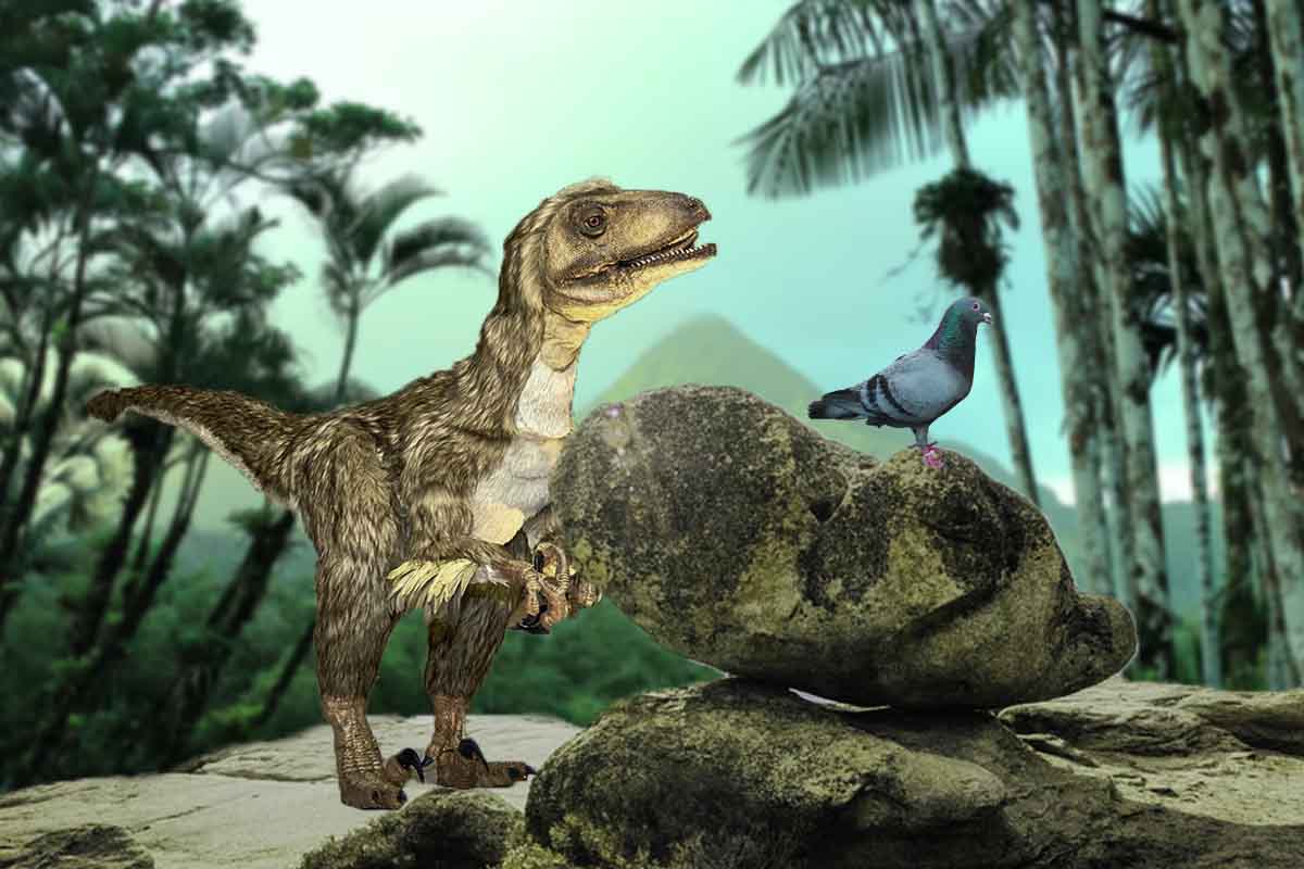 Ako sa z obávaných dinosaurom stali postupom času vtáky?