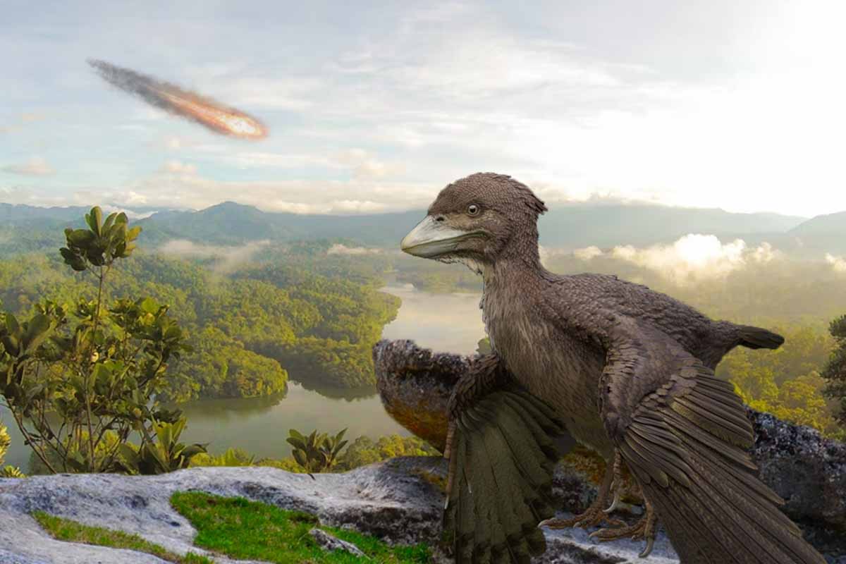Vtáky ako jediné "dinosaury" dokázali prežiť dopad asteroidu