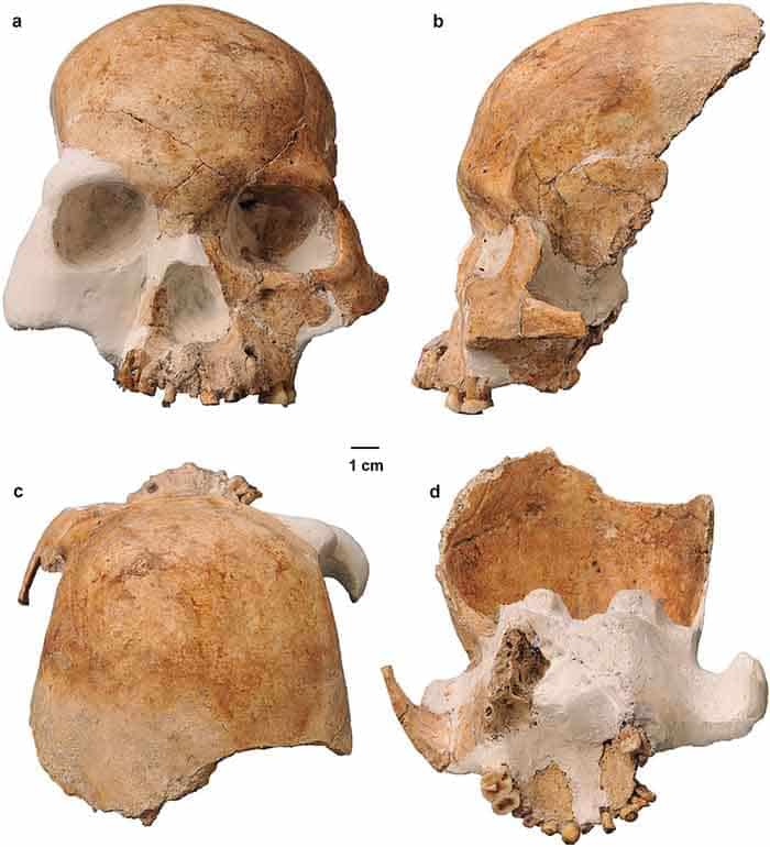 Lebka, ktorú našli v čínskej provincii Yunnan sa spája s predkami indiánov