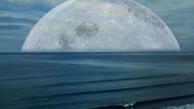 Ako ovplyvňuje Mesiac život na zemi?