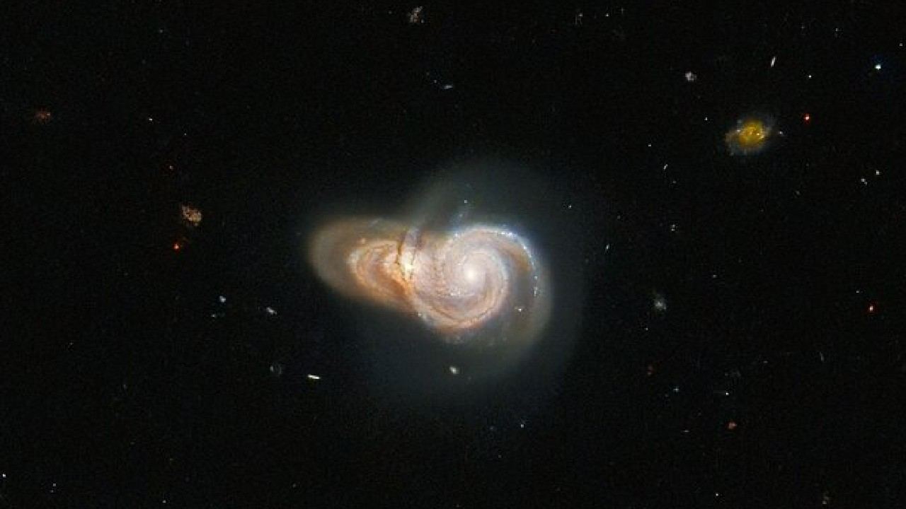 galaxie SDSS J115331 a LEDA 2073461