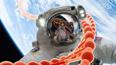 Astronauti vo vesmíre mutujú, tvrdí nový výskum