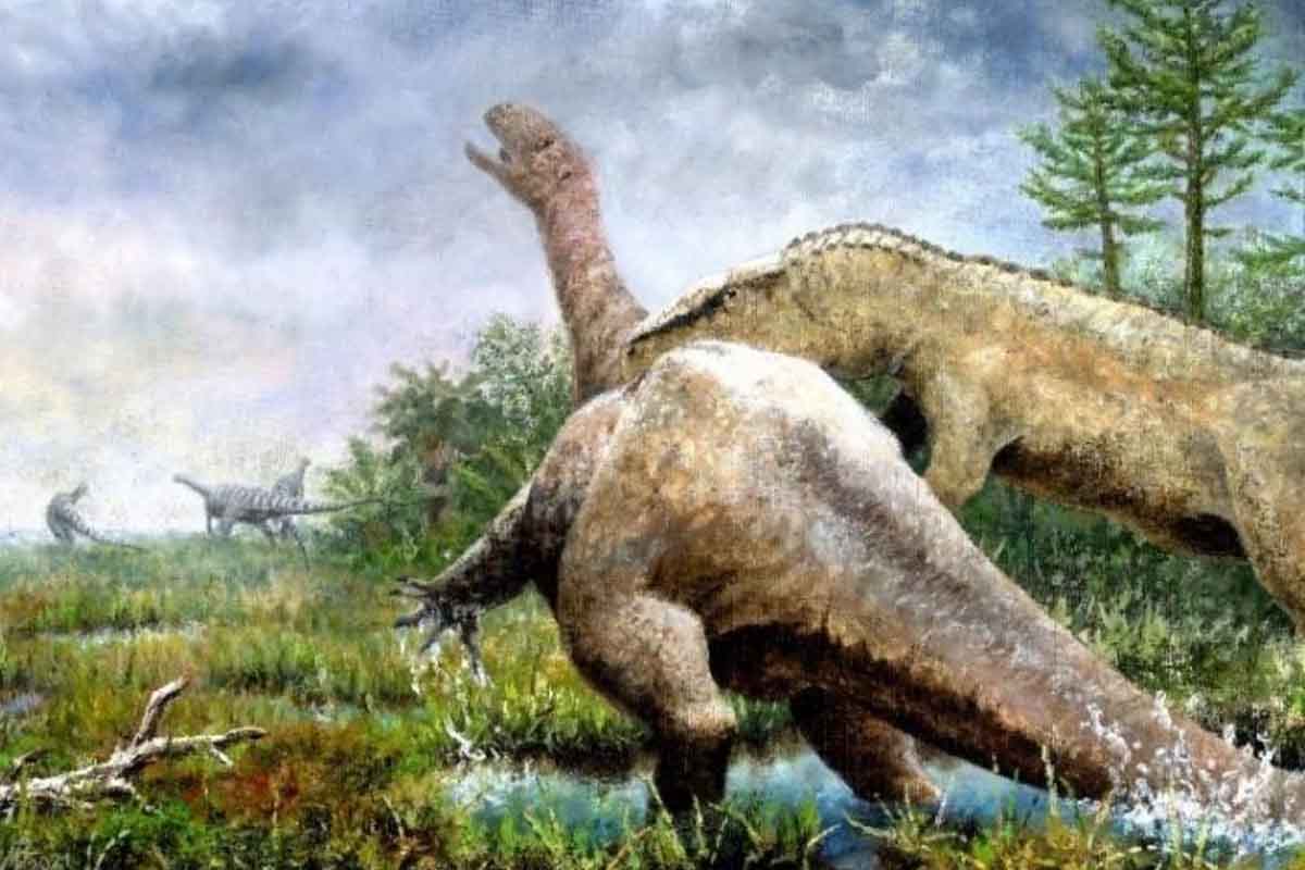 Nemecká univerzita identifikovala nový druh dinosaura