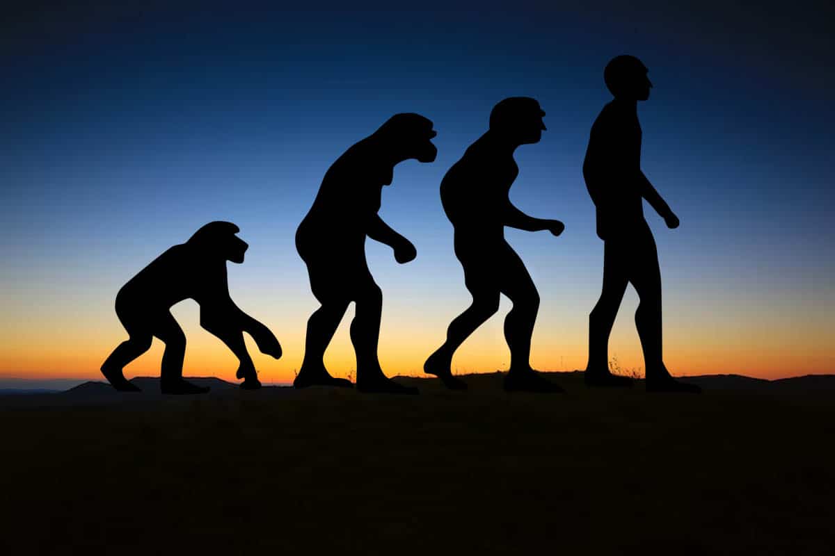 Môžeme považovať druh Sahelanthropus tchadensis za prvého predka človeka?