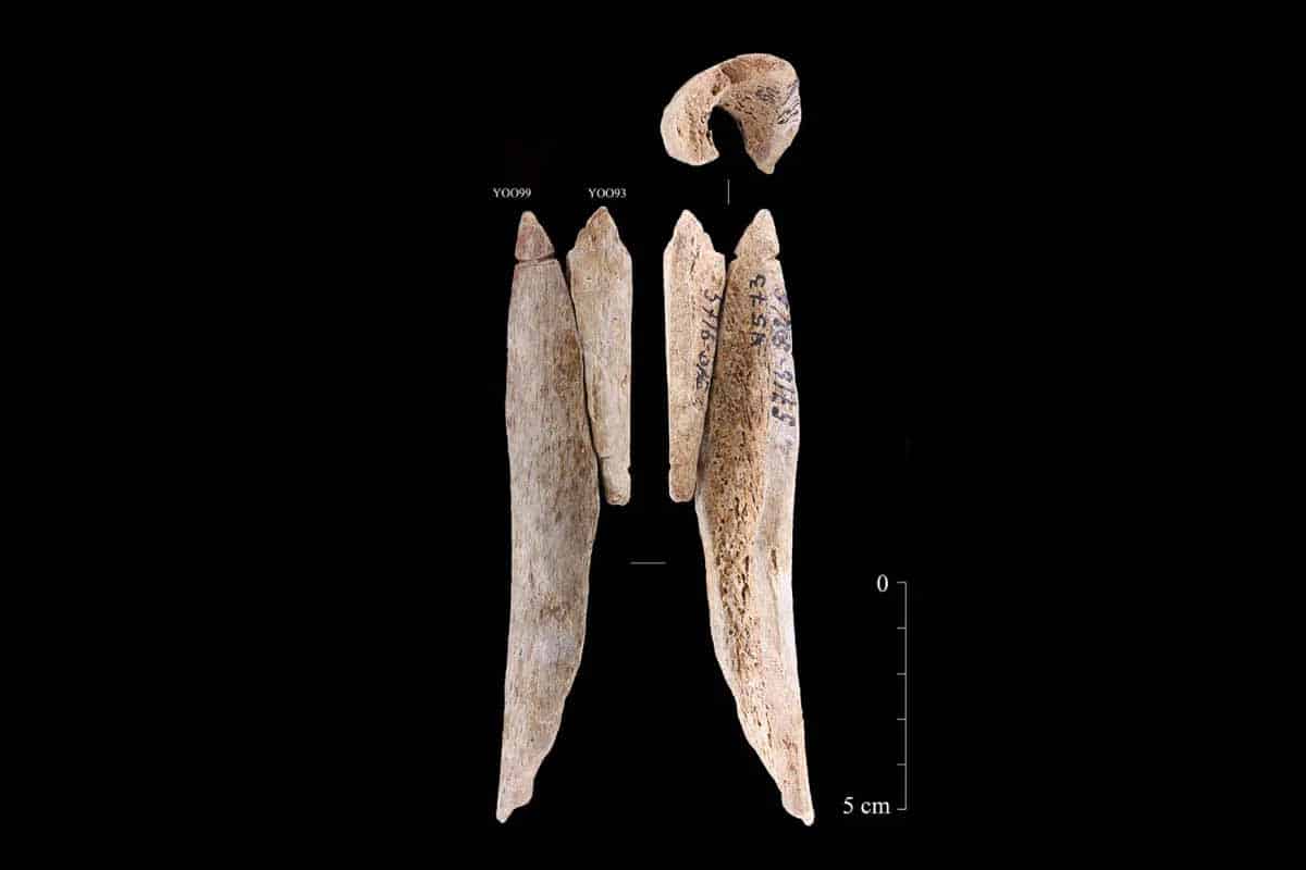 Čo viedlo našich predkov k výrobe amuletov z ľudských kostí?