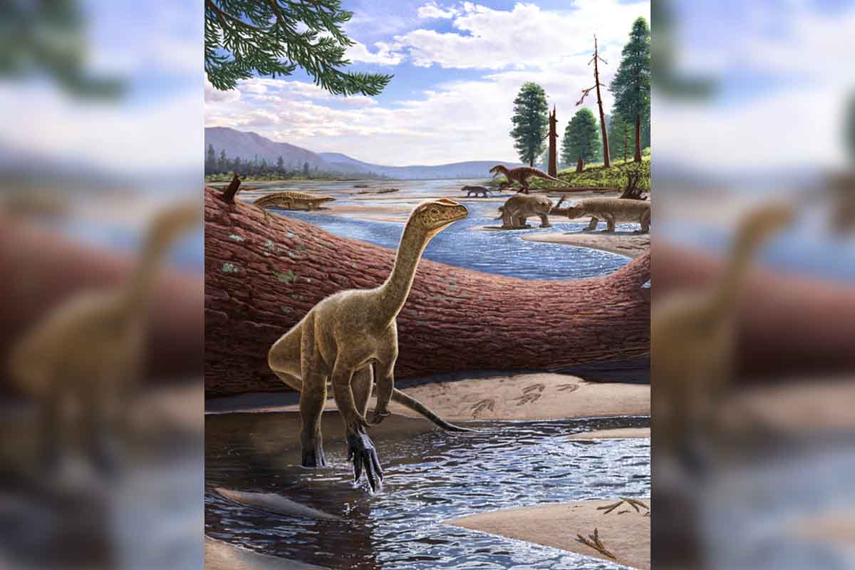 V Afrike vedci objavili kostru nového druhu dinosaura