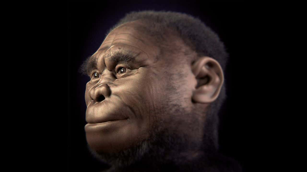 Hobiti Homo floresiensis