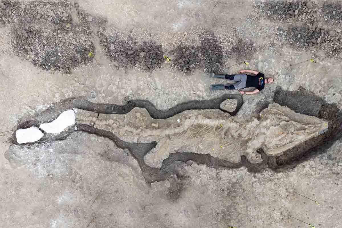 V Spojenom kráľovstve našli najväčšieho Ichtyosaura na svete