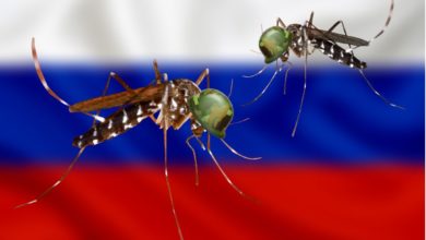 hoax rusko bojove komare ukrajina