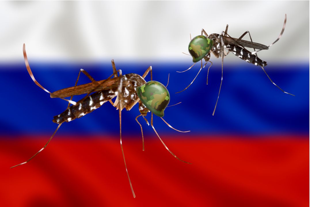 hoax rusko bojove komare ukrajina