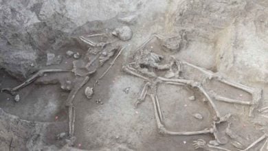 Vo Vrábľoch sa našli kostry, ktoré ukazujú život počas neolitu