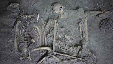 Archeológovia natrafili na prvý prípad zajatého zvieraťa v histórii