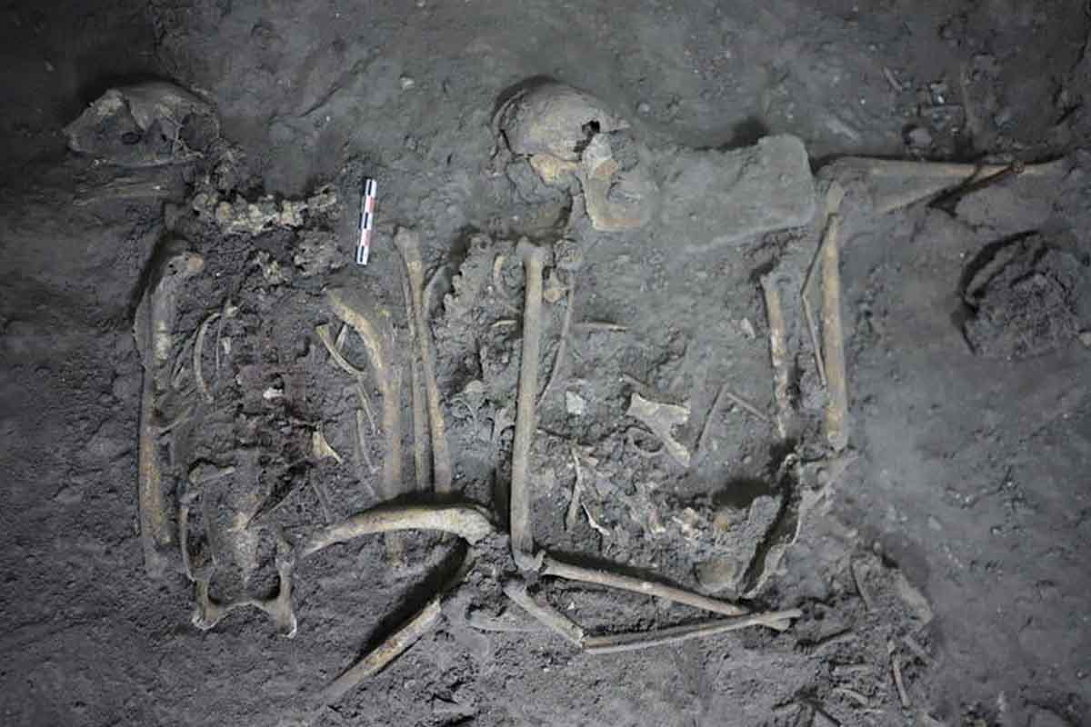 Archeológovia natrafili na prvý prípad zajatého zvieraťa v histórii