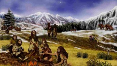 Neandertálci majú na svete viac DNA, ako keď žili