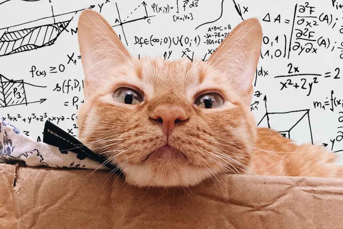 Čo nás učí Schrödingerova mačka?