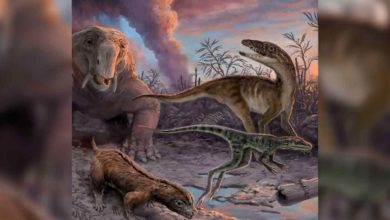 Klimaticke zmeny a dinosaury
