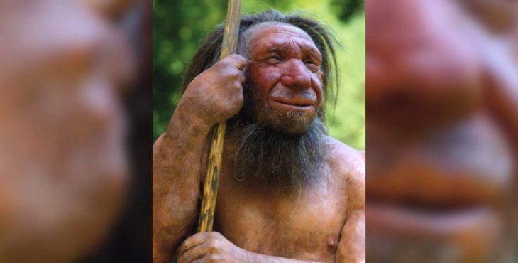 Neandertálsci neboli hlúpi. Dokázali vyrobiť materiál, ktorý dnes bežne vyrábame